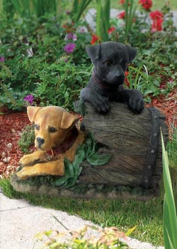 Barrel Of Puppies