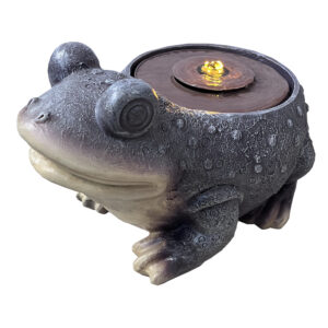 Frog Fountain