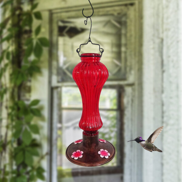 Glass Feeder, 520 mL - Image 2