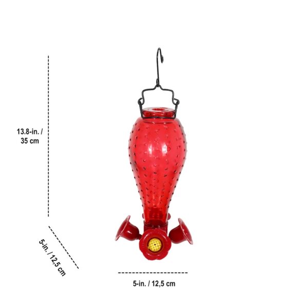 Glass Feeder, 700 mL - Image 3