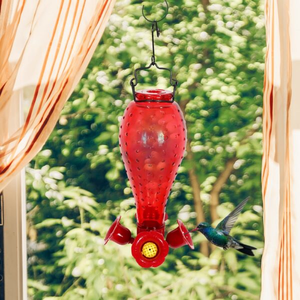 Glass Feeder, 700 mL - Image 2