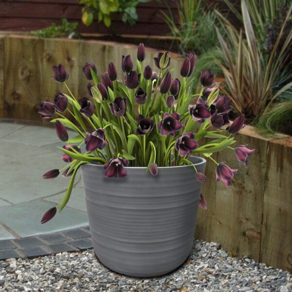 15-inch Rotondo Planter - Image 2